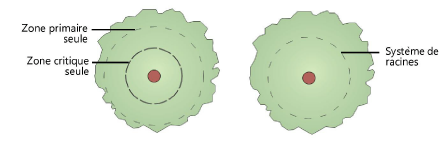 Plants200051.png