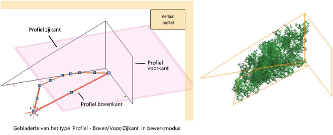 Plants200080.png